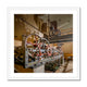 image4 image 2