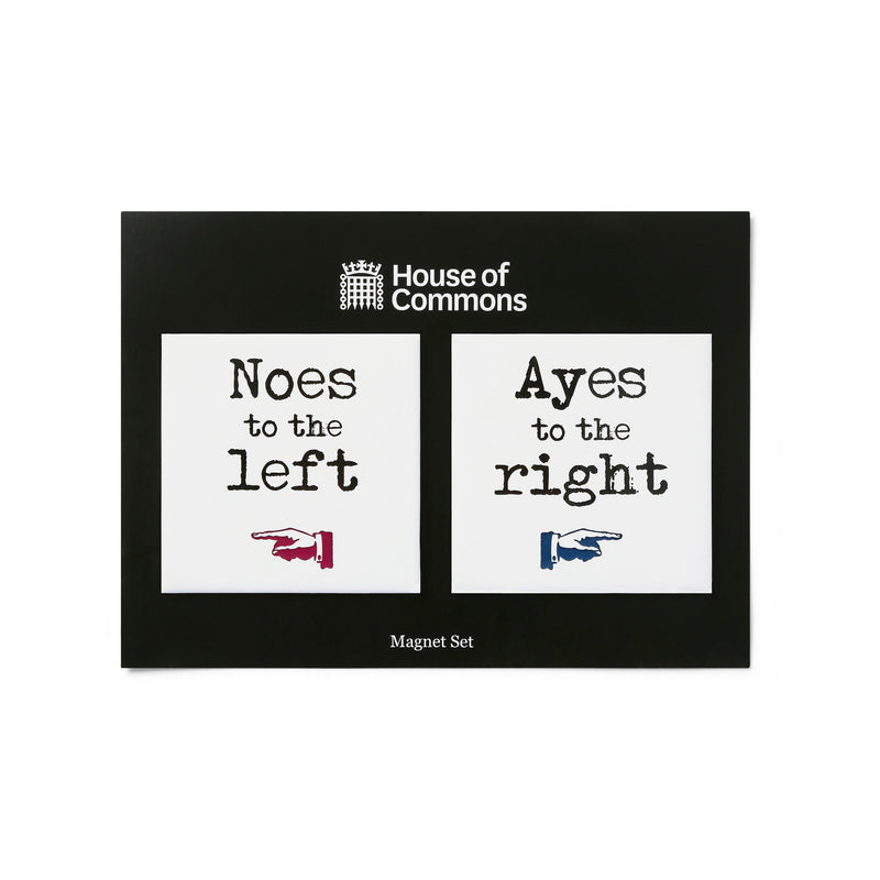 Ayes and Noes Magnet Set