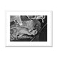 Carving of an Angel in Westminster Hall, c.1905 Framed &amp; Mounted Print image 2