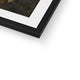 The House of Lords Framed &amp; Mounted Print image 4